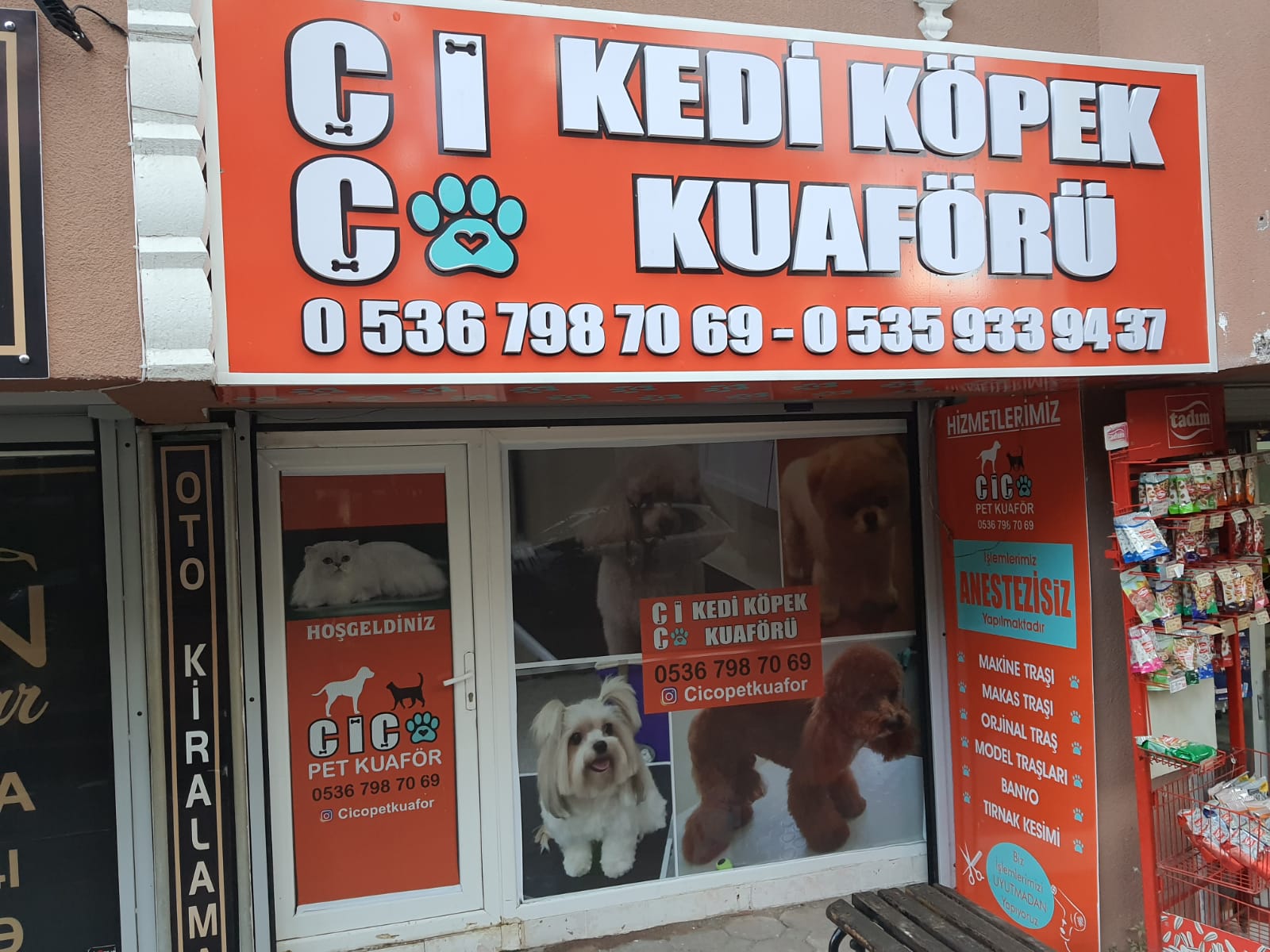Çiço Kocaeli Kedi &amp; Köpek Kuaförü ⭐️ Anestezisiz Kedi Köpek Traşı